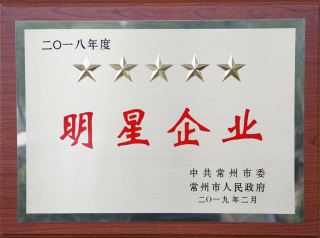 常寶股份榮獲“工業(yè)五星級企業(yè)”、“納稅金獎”等多項大獎156.png
